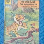 The Tiger and The Woodpeckar
