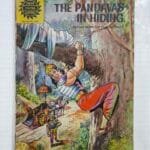 The Pandavas in Hiding