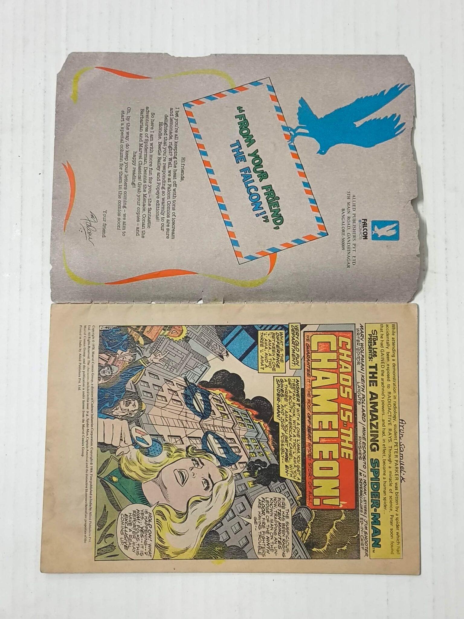 The Anazing Spider-Man