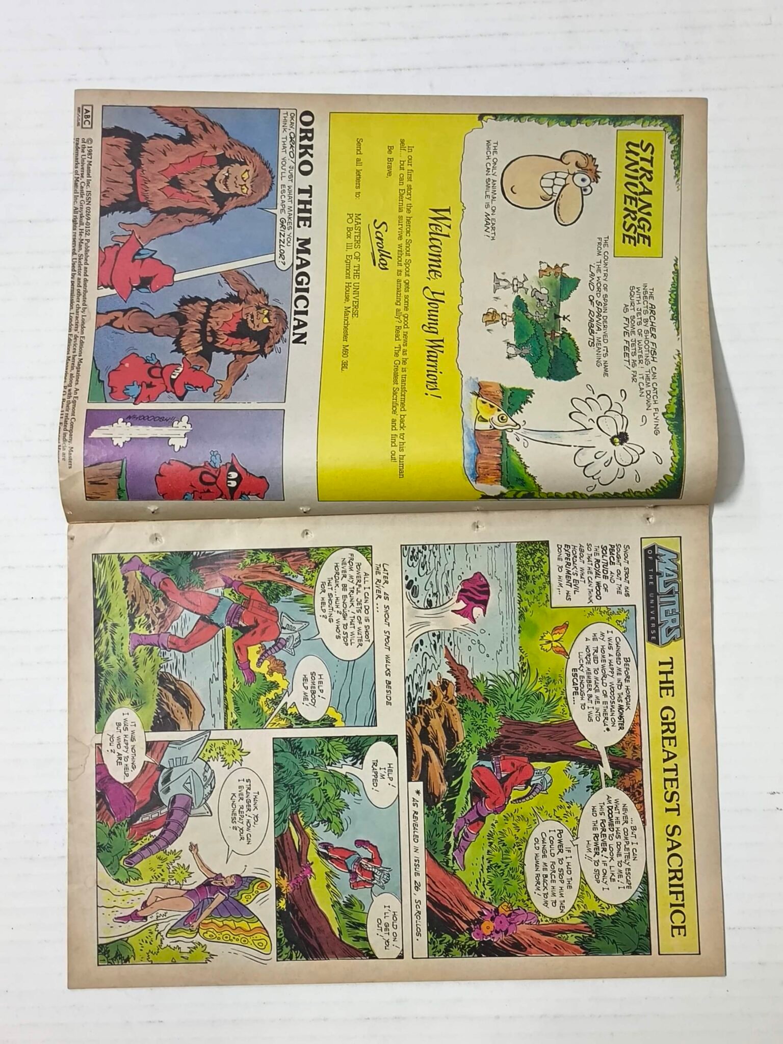 Masters of The Universe - Every Fortnight No 41