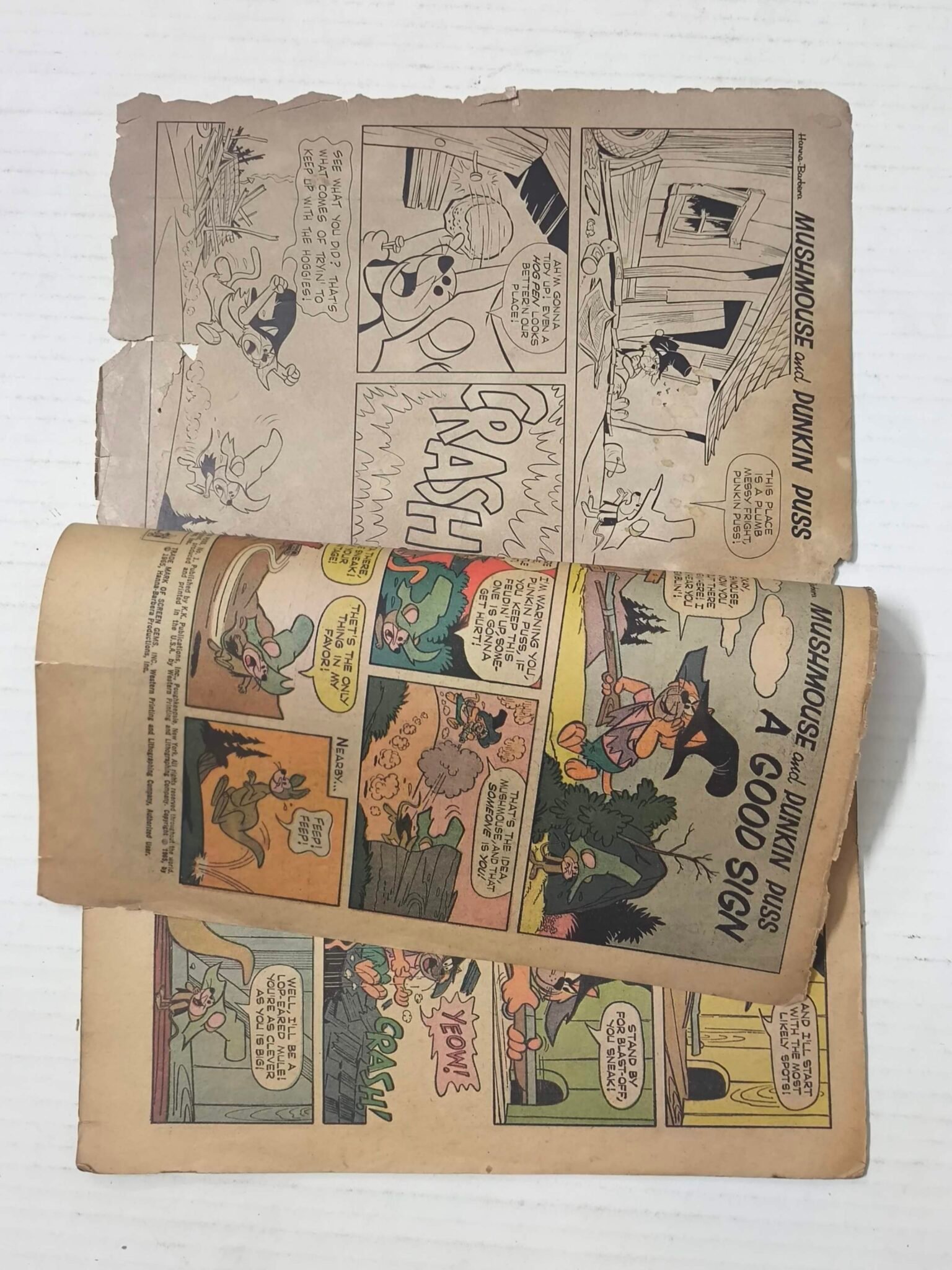 MushMouse and Punkin Puss No 1