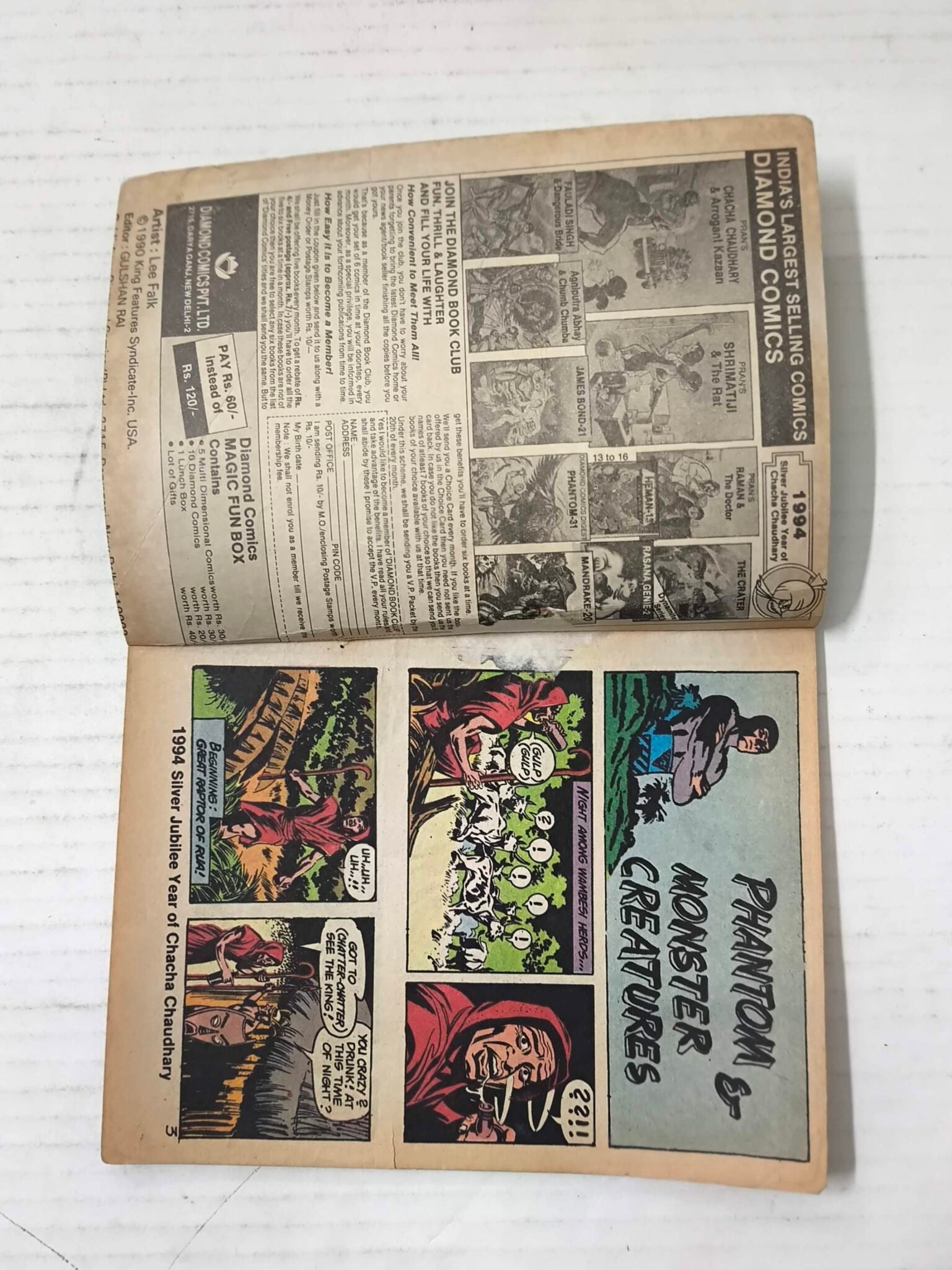 Phantom 31 (English)